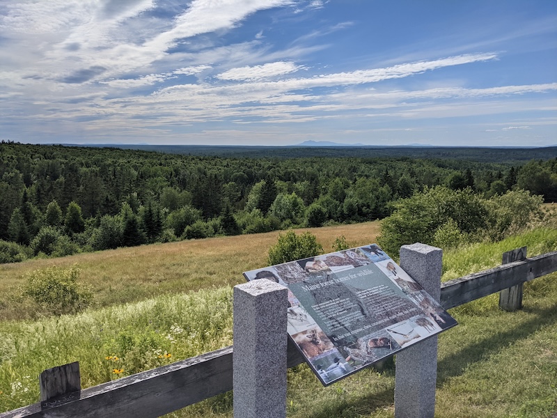 Scenic view of lush green hills and forests in Washington County, Maine, with a sign detailing local wildlife and outdoor activities, showcasing the area's natural beauty and recreational opportunities.